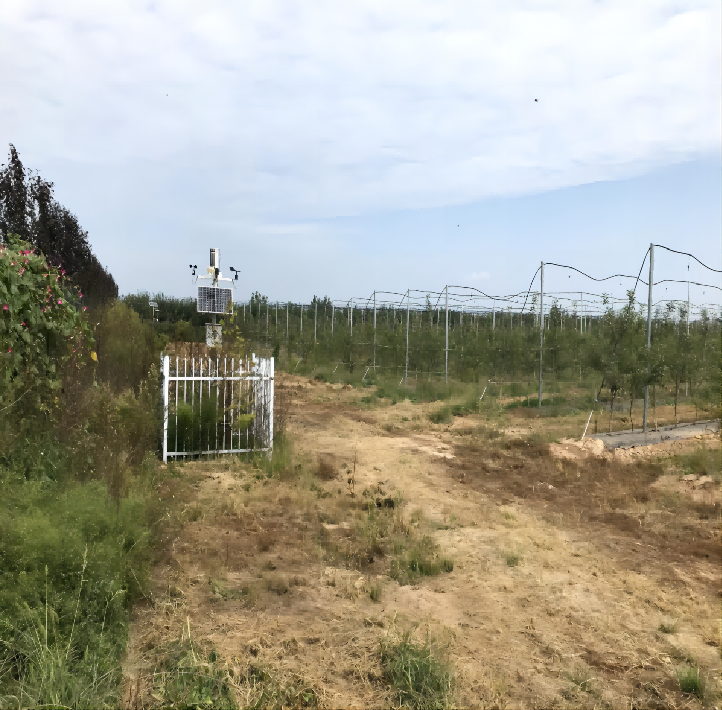 運城市芮城縣有機旱作水肥一體化建設項目